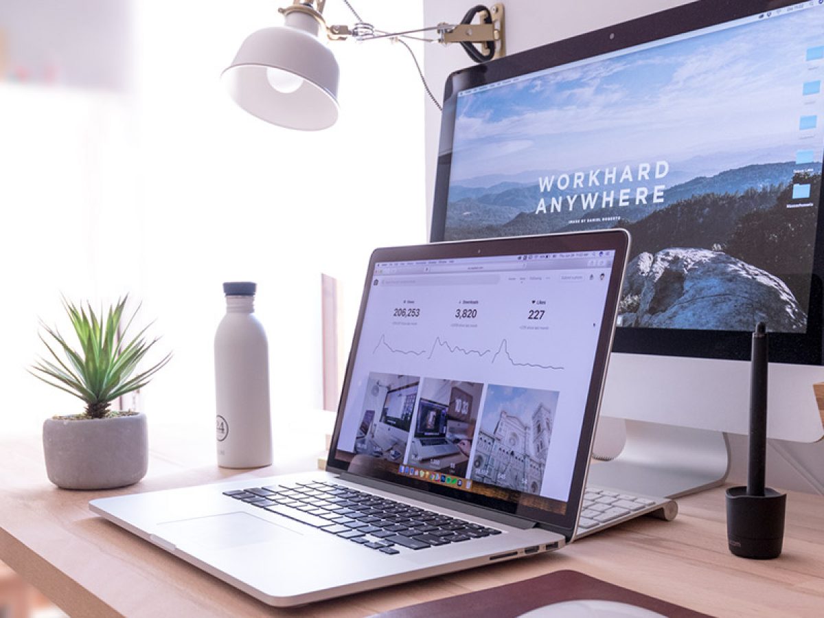 Can T Find Your Domain With The Legacy Extensions Try The Xyz Netim Blog